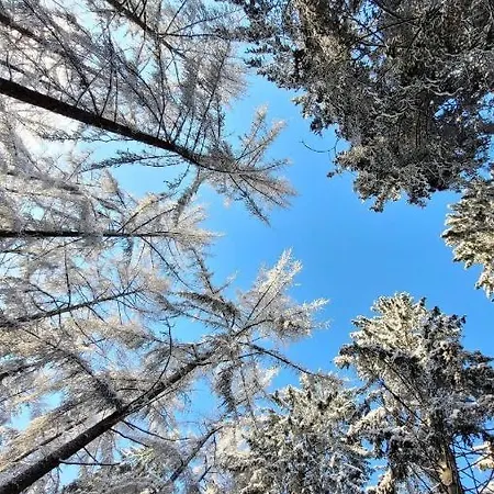 Tiny House - Luxury アパート ビューリンゲン